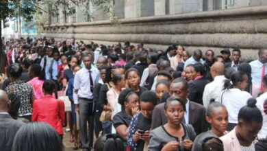 Government Announces 400 Opportunities for Unemployed Youth.