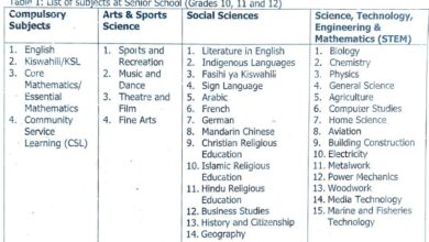 List of senior school (grades 10–12) options and required courses.