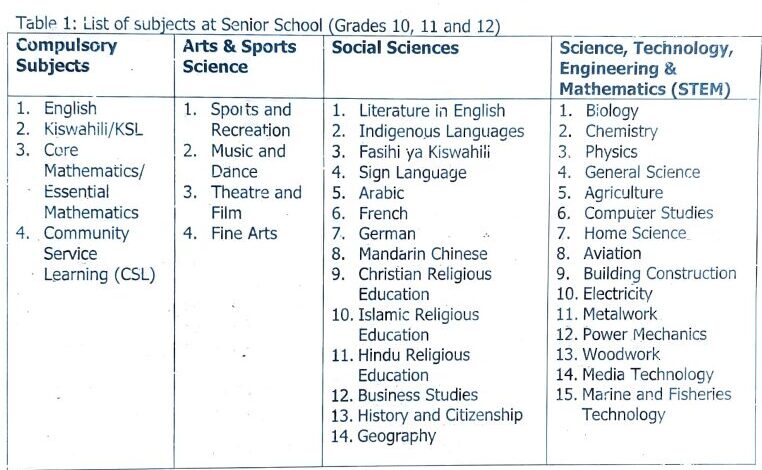 List of senior school (grades 10–12) options and required courses.